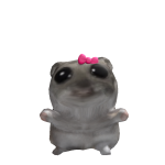 @Kipp_Z