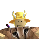 @Bloxking748487