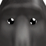 @CoolSlothboy1234567