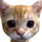 @kilikkio444