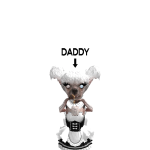 @bt_fox8