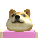 @DogeBruh579