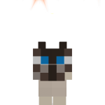 @N0wt