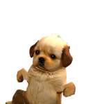 @kawaiipuppy95hi