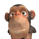 @bracefacemeerkat
