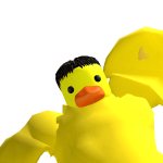 @KDdubs13
