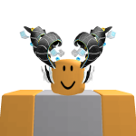 @shcsche