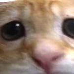 @GamerBan15