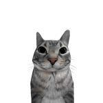@timtsue