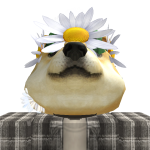 @Reshiram1909