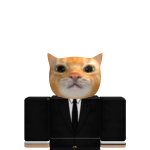 @matteowilches212