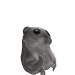 @joaogamerurruo