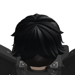 @robotsimulator231