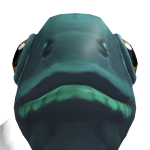 @C14V