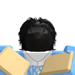 @IronMan2Roblox37921