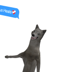 @PlateHeadPossum