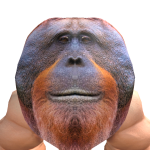 @ExtremeDude_7
