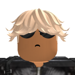 @RobloxDeveloper54
