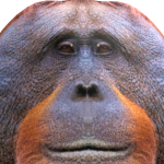 @Michael52012