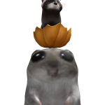 00hamster_king