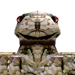 @soliroq