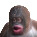 @coconuxvibezx1