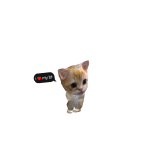 @axh13yy