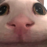 @corpsebraidly