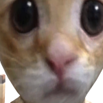 @MILOSUPEERPRO