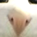@ggsle81