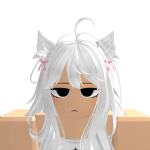 @robloxkidgirl11