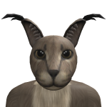 @Gatitopoderoso123uwu