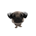 @Elephant22pip