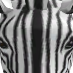 @Alpharowan12