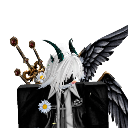 shinotchir