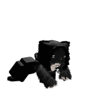 @kyemlg