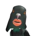 @H4b7n