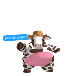 @fishyy_Booi