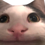 @crippledjah