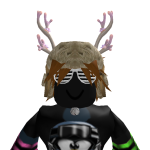@bloxtrider