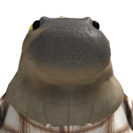 @ChillGamer99