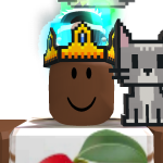 @roblox_user_276033726