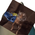 @noodleplant1