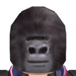 @DRBUCKETBASE