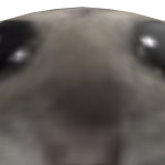 TheGOAT69589