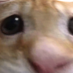 @Emorlay