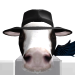 @Co0lCows