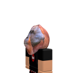 @cozy_brendyn