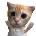 @FUNSQUADISTHEBEST