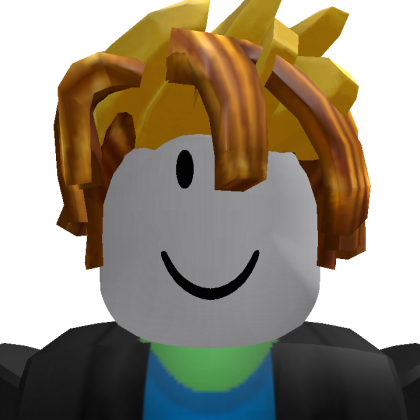 Roblox profile picture for @paverking
